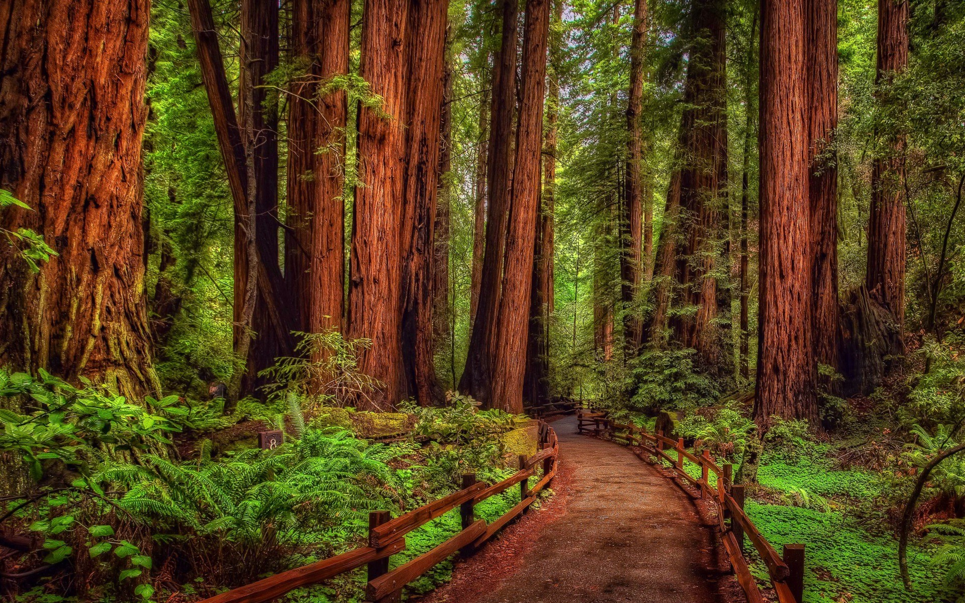 trees